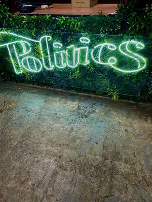 Sneaker Politics by null