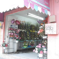 floreria "lilis"