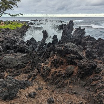 The Volcano Van - Tours Near Me - Kailua-Kona, Hawaii