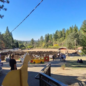 Abel's Apple Acres - Bakeries Near Me - Placerville, California Abel's Apple Acres - Bakeries Near Me - Placerville, California