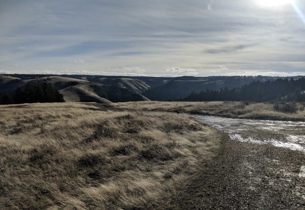 DEADMAN PASS REST AREA Updated October 2024 31 Photos 7074170753
