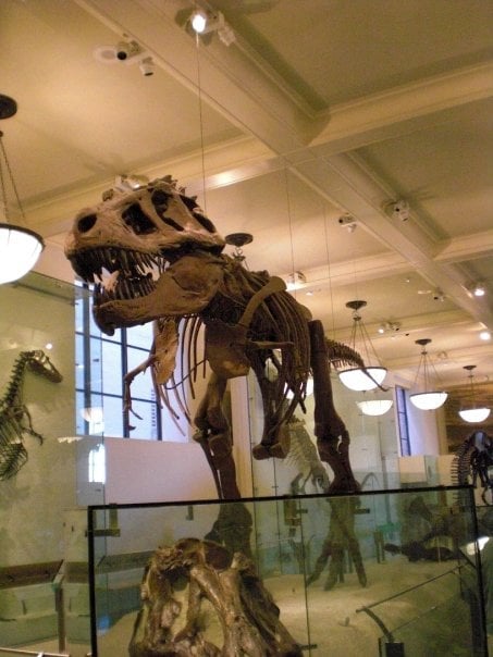 Slide of J A Roofing Tile