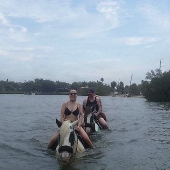 C Ponies Beach Horseback Rides - Horseback riding in the water - Horseback Riding Near Me - Bradenton, Florida C Ponies Beach Horseback Rides - Horseback riding in the water - Horseback Riding Near Me - Bradenton, Florida