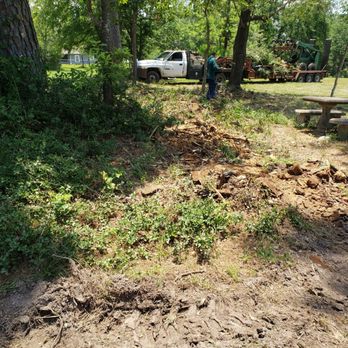TREES INCLUDED - Tree Services Near Me TREES INCLUDED - Tree Services Near Me