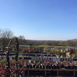 Sussex Country Gardener - View from the cafe