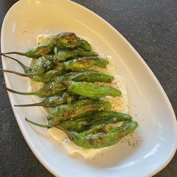 Codependent Cocktails + Coffee - Blistered Shishitos - Cocktail Bars Near Me - Austin, Texas
