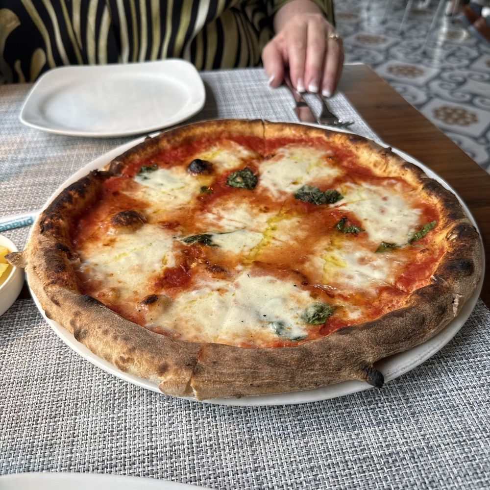 Novo Cucina - Margherita Pizza - Pizza Near Me - Dunwoody, Georgia Novo Cucina - Margherita Pizza - Pizza Near Me - Dunwoody, Georgia