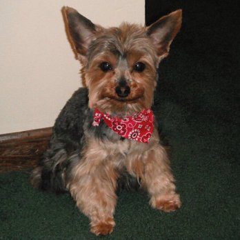 Tail Twisters Dog Spaw - Pet Groomers Near Me - Columbus, Indiana Tail Twisters Dog Spaw - Pet Groomers Near Me - Columbus, Indiana