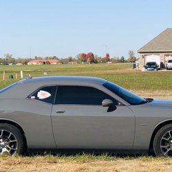 Tiger Tinting and More