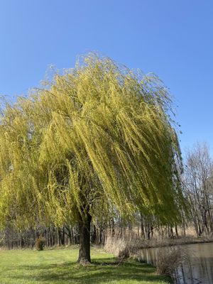 Inn at Huntingfield Creek and Getaway Cottages by null
