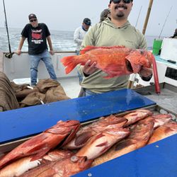 Black Pearl Sportfishing