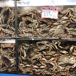 Seasons Asian Market - So cheap! $3.99/lb