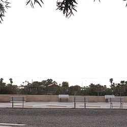 Bonita Mesa Rv Resort - Sport courts