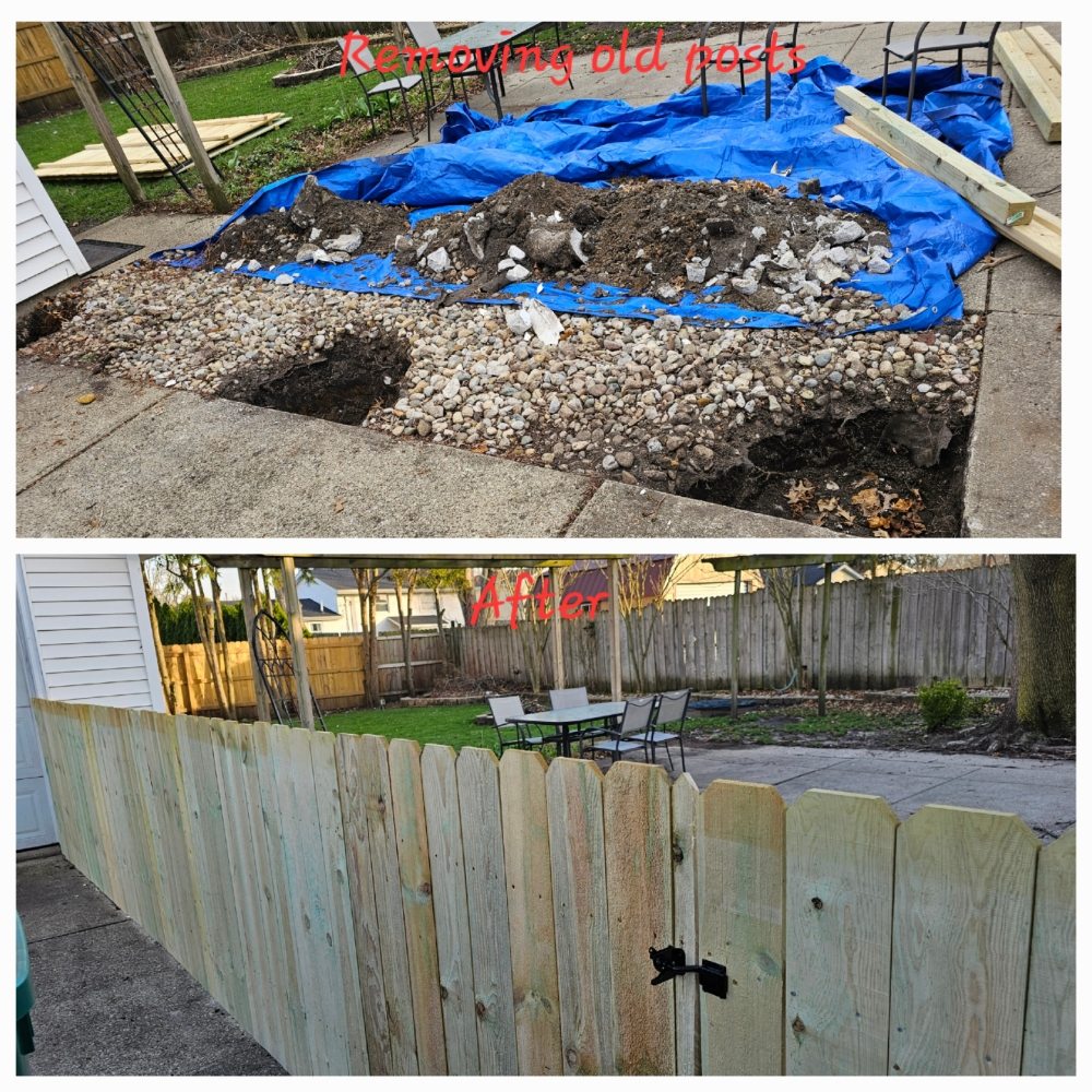 Slide of The Worker Bee