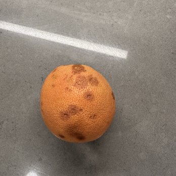 Fresh Harvest - an orange on a table - CSA Near Me - Clarkston, Georgia Fresh Harvest - an orange on a table - CSA Near Me - Clarkston, Georgia