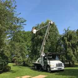 Doyle and McDonnell - Bucket truck trimming crew