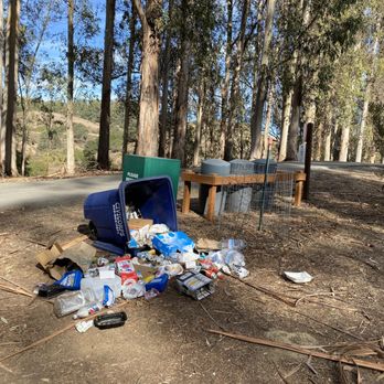Anthony Chabot Regional Park - Taken from our tent.. we dealt with garbage from past guests for half of our trip... the raccoons kept us up at night due to it - Parks Near Me - Castro Valley, California