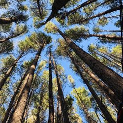 Qunatum Heart & Soul Wellness - Olinda forest