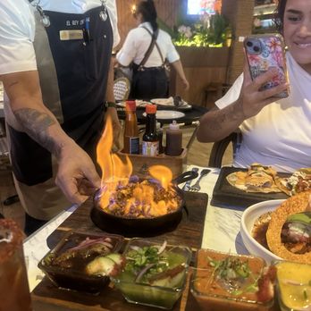 Lion Fish - Octopus best - Bars Near Me - Tijuana, BCN Lion Fish - Octopus best - Bars Near Me - Tijuana, BCN