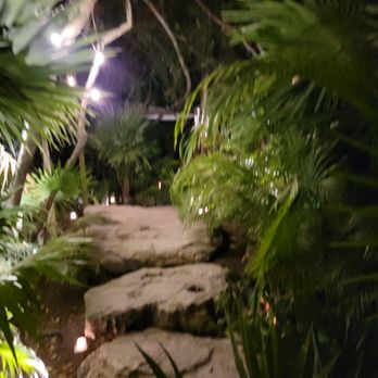 Kitchen Table - Walkway to the resturant - Portuguese Near Me - Tulum, ROO Kitchen Table - Walkway to the resturant - Portuguese Near Me - Tulum, ROO