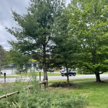 A to Z Services - Tree Services Near Me