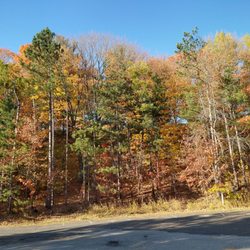 Chester Park - Great place to find some fall colors