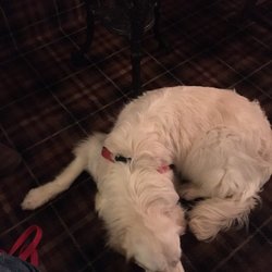 First And Last - Luna in the pub