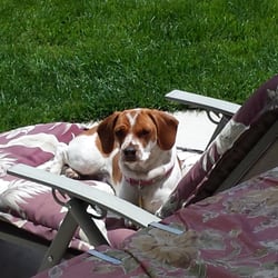 Nova's Ark Pet Care - Sun bathing!