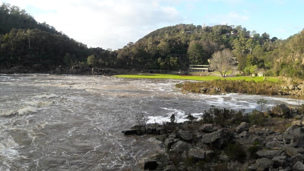 Cataract Gorge Reserve by null