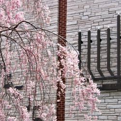 East Meadow Beth-El Jewish Center