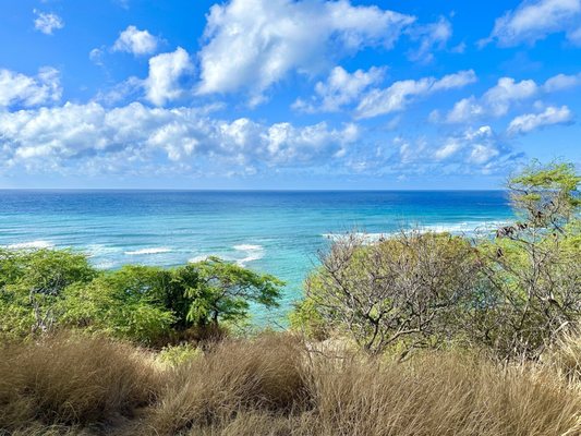Diamond Head Beach Park by null