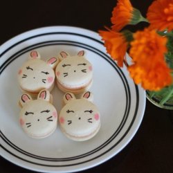 MacaronEnvy