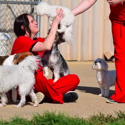 Happy Tails West