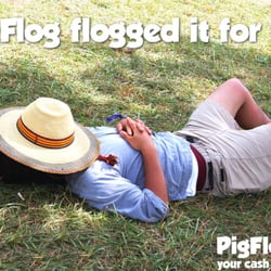 PigFlog - Advert for PigFlog - PigFlog flogged it for me