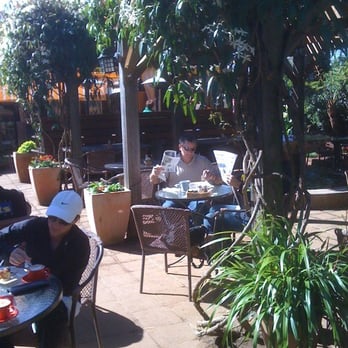 Sunflower Caffe - Coffee & Tea Near Me - Sonoma, California Sunflower Caffe - Coffee & Tea Near Me - Sonoma, California