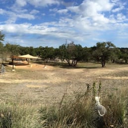 In one of the back corners of the dog park.