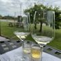 Photo of Hector Wine Company