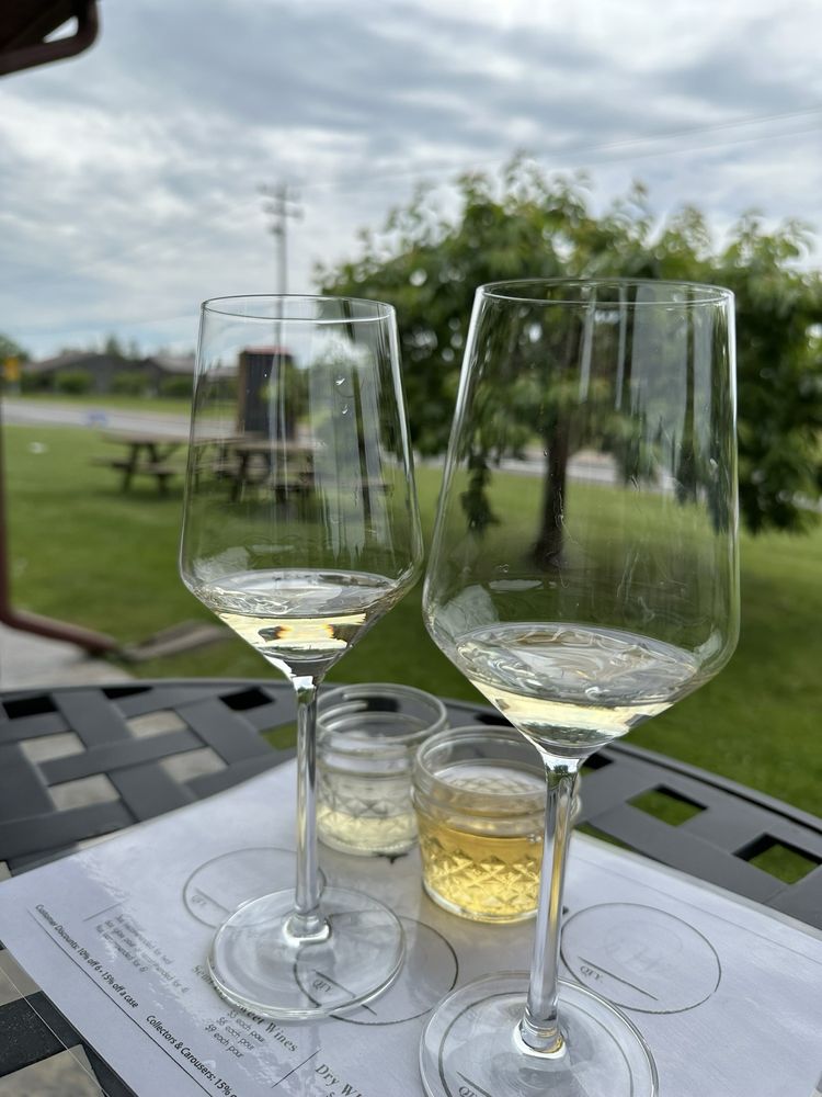 Hector Wine Company - vineyard in Hector, NY