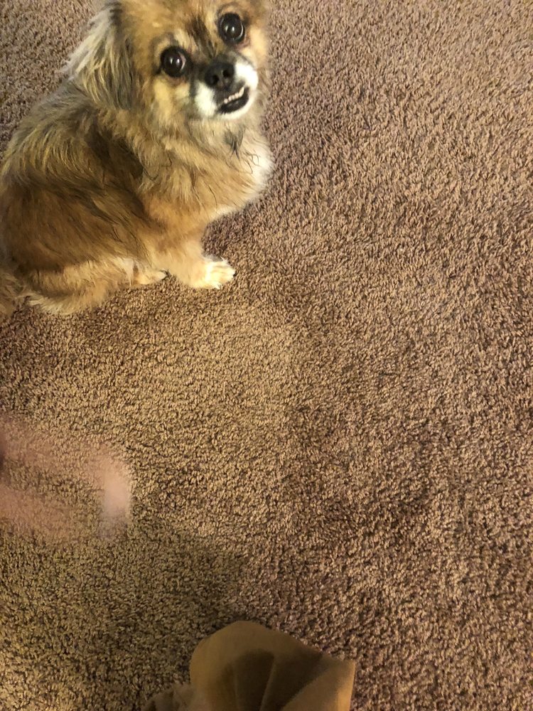 STADIUM VIEW APARTMENTS Updated June 2024 1700 Juniper Dr, Bowling