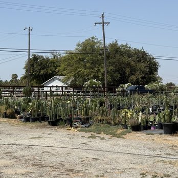 AaSucculents - Nurseries & Gardening Near Me - Knightsen, California AaSucculents - Nurseries & Gardening Near Me - Knightsen, California