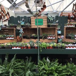 Tholens Landscape & Garden Center