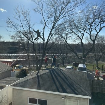 Meca Tree Service - During - Tree Services Near Me