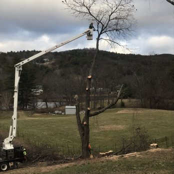 Classen's Tree Service - Tree Services Near Me - Campton, New Hampshire