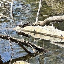 Johnson Nature Center