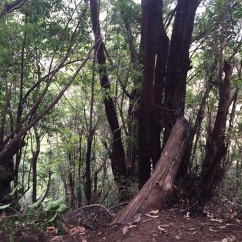 Koke'e Natural History Museum - Strenuous hike - Museums Near Me - Kekaha, Hawaii