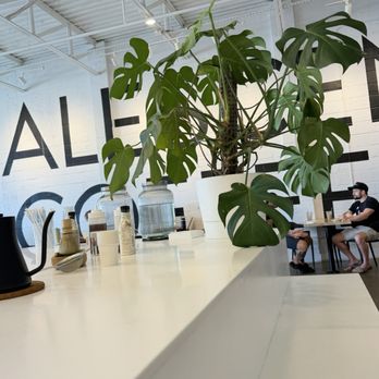Coalescence Coffee - Beautiful monstera - Coffee & Tea Near Me - Norfolk, Virginia Coalescence Coffee - Beautiful monstera - Coffee & Tea Near Me - Norfolk, Virginia