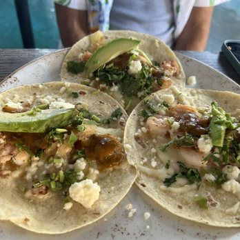 Clear Sky Cafe - Shrimp Tacos - New American Near Me - Clearwater, Florida