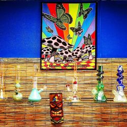 Water pipes for CBD flower & tobacco. Choose from a wide variety of pipe designs and CBD flower strains.