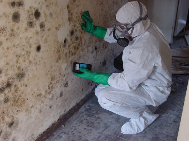 A-1 Certified Enviromental Services - mold inspector in San Francisco, CA