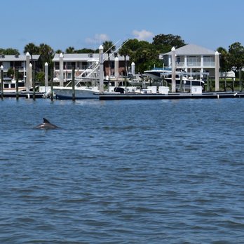 Red Boat Water Tours - Woot Woot Dolphins!!!! - Boat Tours Near Me - Saint Augustine, Florida Red Boat Water Tours - Woot Woot Dolphins!!!! - Boat Tours Near Me - Saint Augustine, Florida
